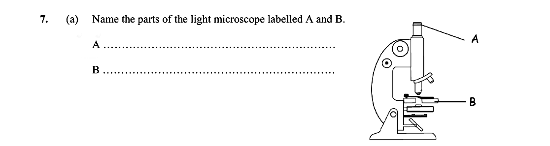 Name-the-parts-of-the-light-microscope-labelled-A-and-B-Leaving Cert Biology-Question 7-2011.png