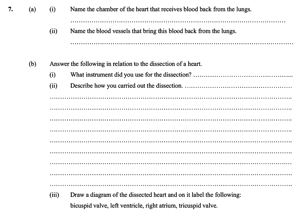 7.-(a)--(i)-Name-the-chamber-of-the-heart-that-receives-blood-back-from-the-lungs-Leaving Cert Biology-Question 7-2006.png