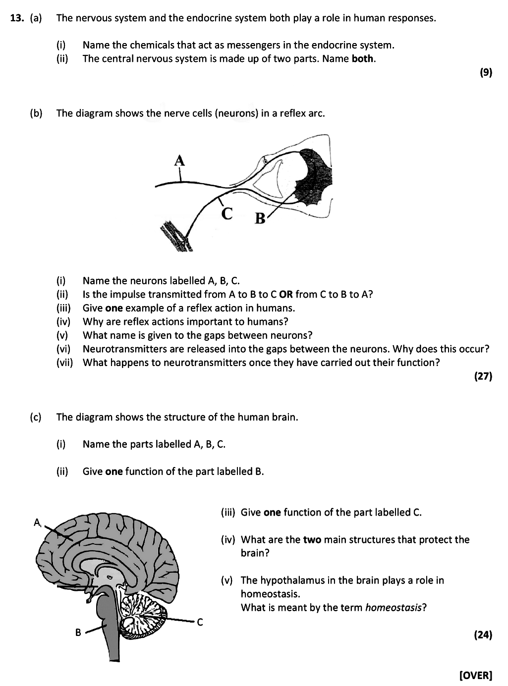 The-nervous-system-and-the-endocrine-system-both-play-a-role-in-human-responses-Leaving Cert Biology-Question 13-2017.png