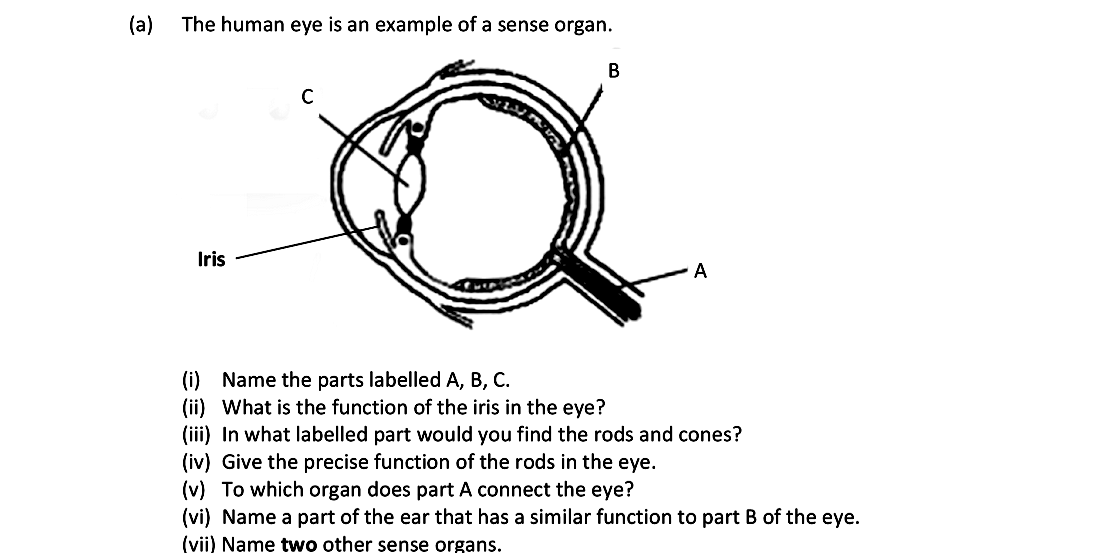The-human-eye-is-an-example-of-a-sense-organ-Leaving Cert Biology-Question a-2017.png