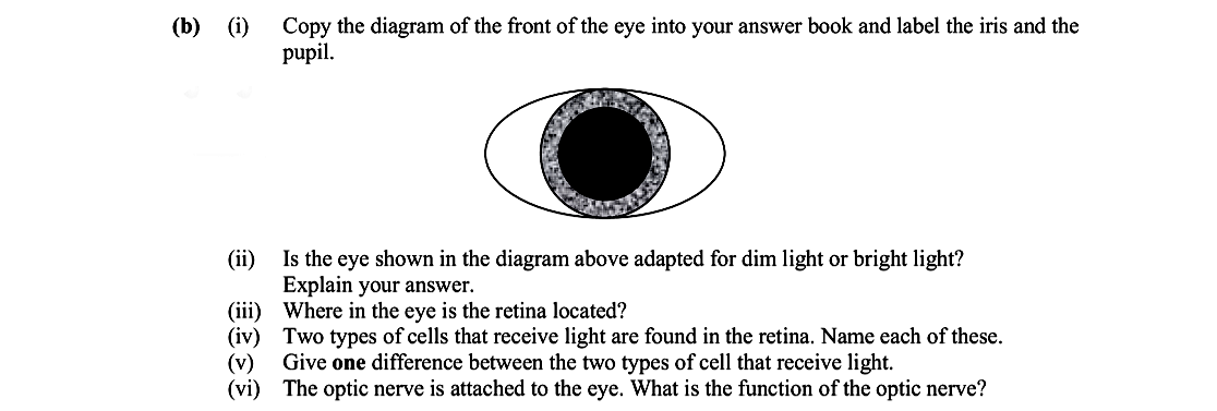 Copy-the-diagram-of-the-front-of-the-eye-into-your-answer-book-and-label-the-iris-and-the-pupil-Leaving Cert Biology-Question (b)-2008.png