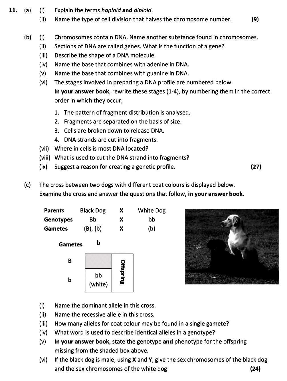 (a)-(i)-Explain-the-terms-haploid-and-diploid-Leaving Cert Biology-Question 11-2020.png