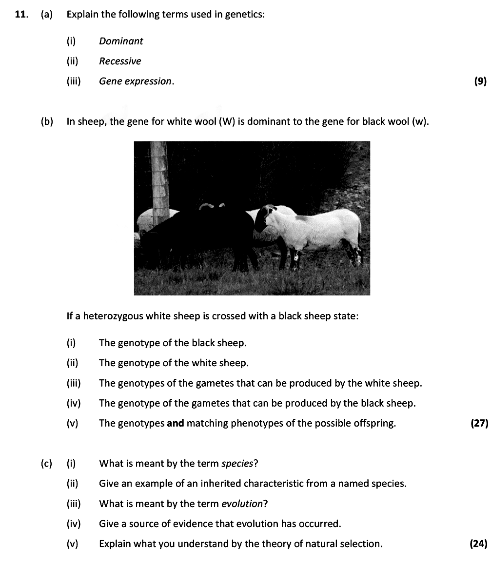 Explain-the-following-terms-used-in-genetics:--(i)-Dominant-Leaving Cert Biology-Question 11-2019.png