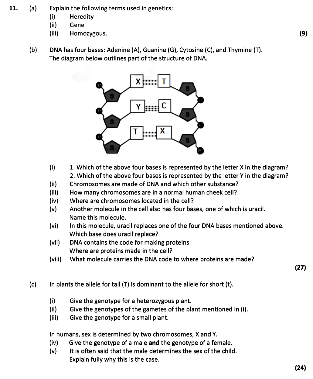 Explain-the-following-terms-used-in-genetics:-(i)-Heredity-(ii)-Gene-(iii)-Homozygous-Leaving Cert Biology-Question 11-2018.png