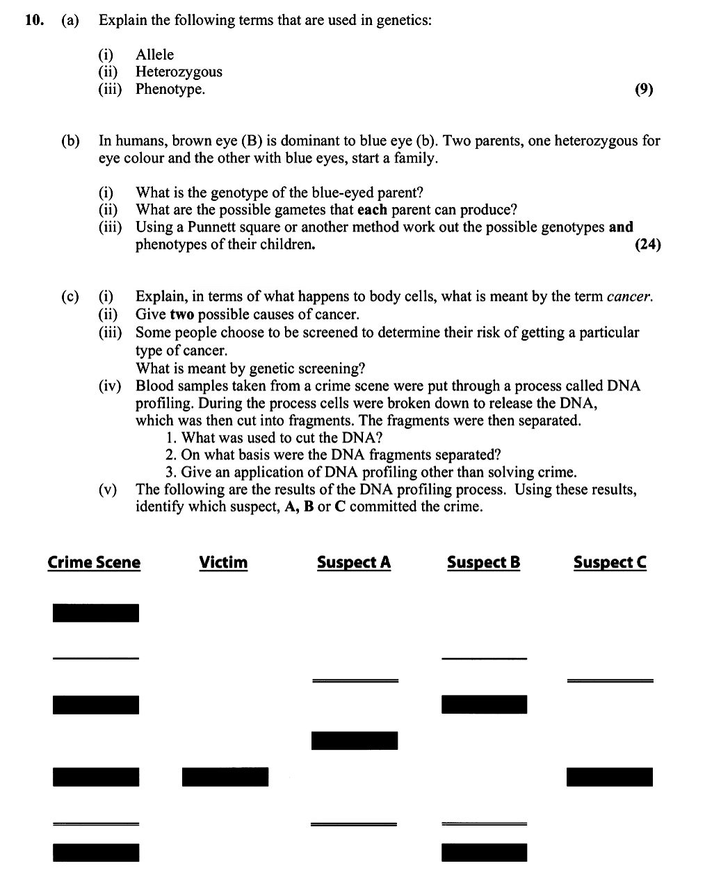 10.-(a)-Explain-the-following-terms-that-are-used-in-genetics:-(i)-Allele-(ii)-Heterozygous-(iii)-Phenotype-Leaving Cert Biology-Question 10-2011.png