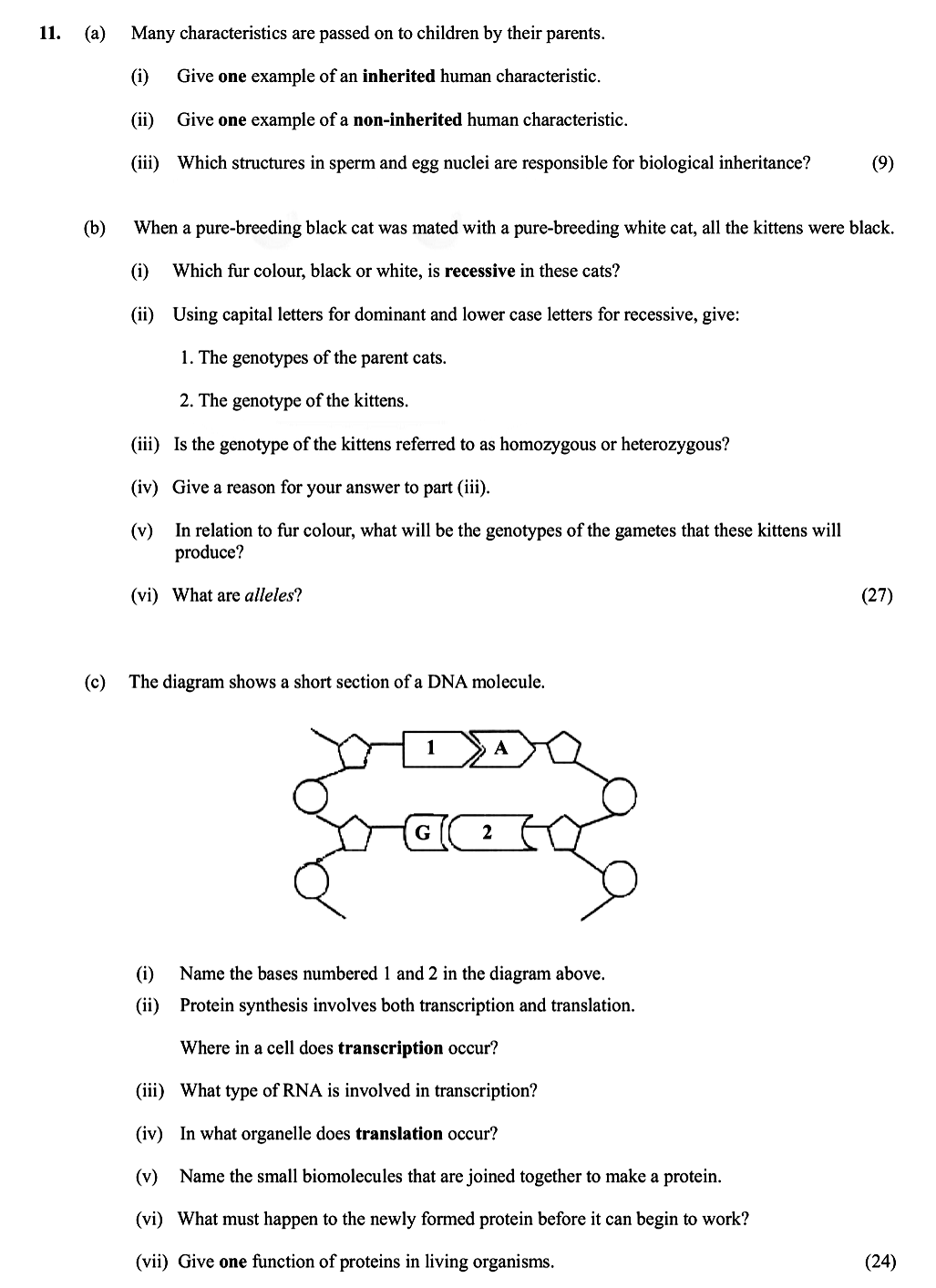 Many-characteristics-are-passed-on-to-children-by-their-parents-Leaving Cert Biology-Question 11-2010.png