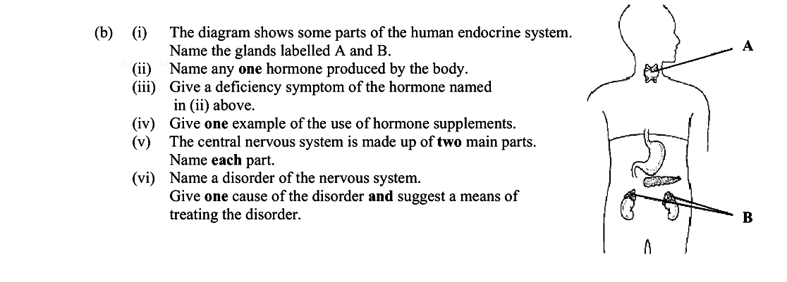 The-diagram-shows-some-parts-of-the-human-endocrine-system-Leaving Cert Biology-Question b-2016.png
