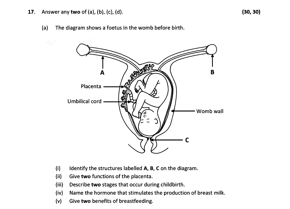 Answer-any-two-of-(a),-(b),-(c),-(d)-Leaving Cert Biology-Question 17-2021.png