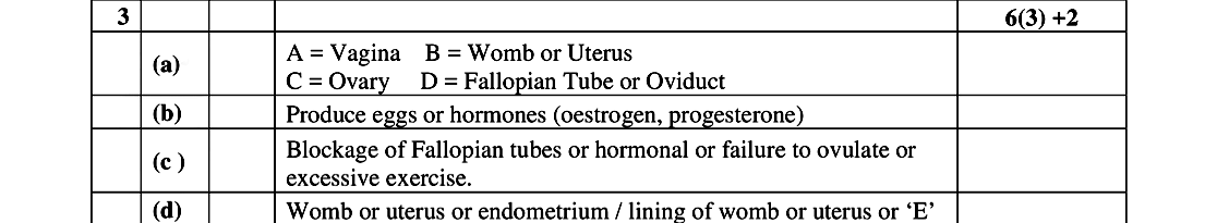 A-=-Vagina--B-=-Womb-or-Uterus-C-=-Ovary--D-=-Fallopian-Tube-or-Oviduct--(a)-Produce-eggs-or-hormones-(oestrogen,-progesterone)--(b)-Blockage-of-Fallopian-tubes-or-hormonal-or-failure-to-ovulate-or-excessive-exercise-Leaving Cert Biology-Question 3-2019.png