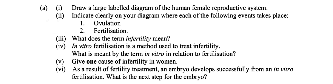 Draw-a-large-labelled-diagram-of-the-human-female-reproductive-system-Leaving Cert Biology-Question 14-2011.png
