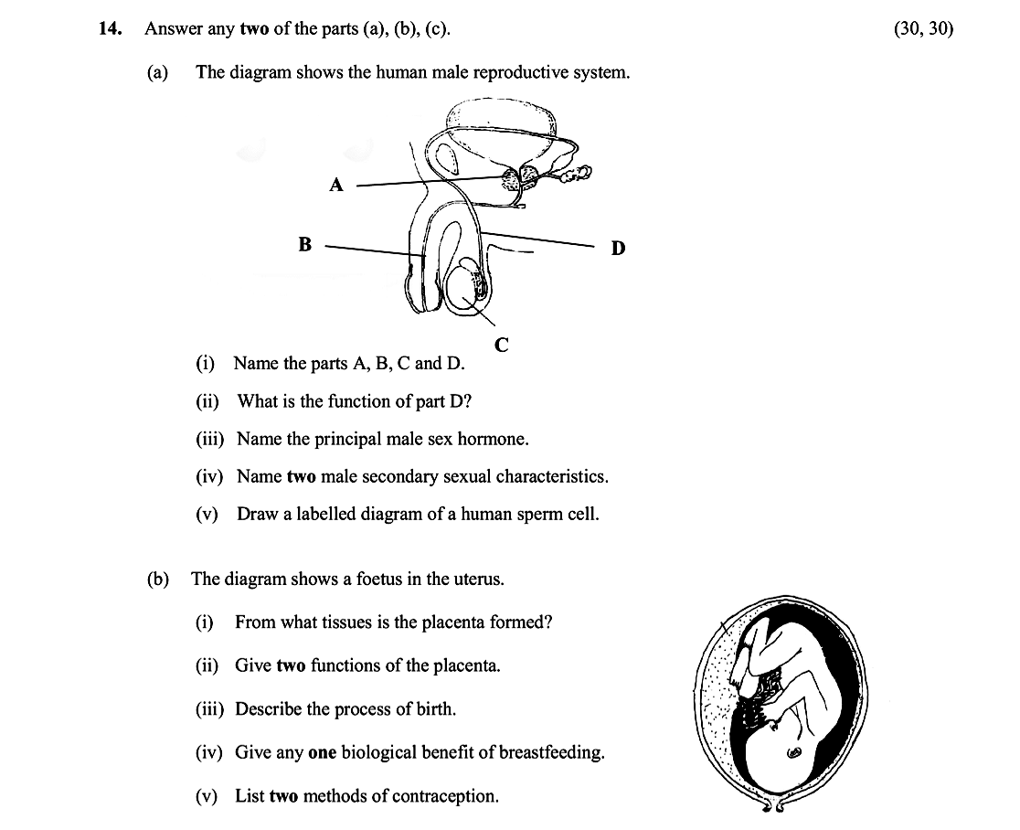 Answer-any-two-of-the-parts-(a),-(b),-(c)-Leaving Cert Biology-Question 14-2010.png