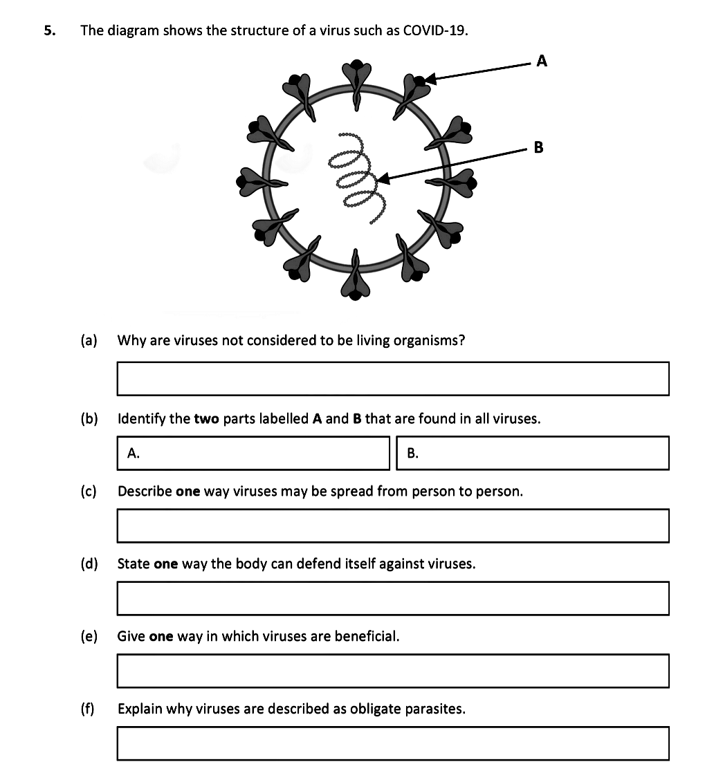 The-diagram-shows-the-structure-of-a-virus-such-as-COVID-19-Leaving Cert Biology-Question 5-2021.png