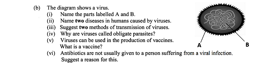 The-diagram-shows-a-virus-Leaving Cert Biology-Question b-2016.png
