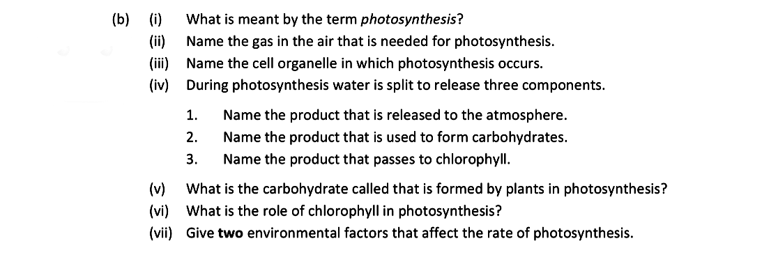 What-is-meant-by-the-term-photosynthesis?-Name-the-gas-in-the-air-that-is-needed-for-photosynthesis-Leaving Cert Biology-Question b-2021.png