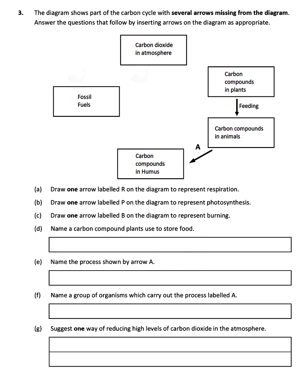 The-diagram-shows-part-of-the-carbon-cycle-with-several-arrows-missing-from-the-diagram-Leaving Cert Biology-Question 3-2020.png