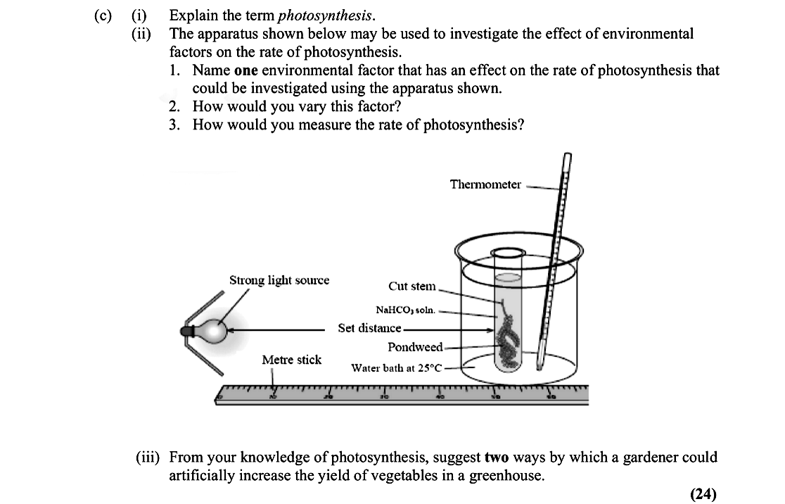 Explain-the-term-photosynthesis-Leaving Cert Biology-Question c-2016.png