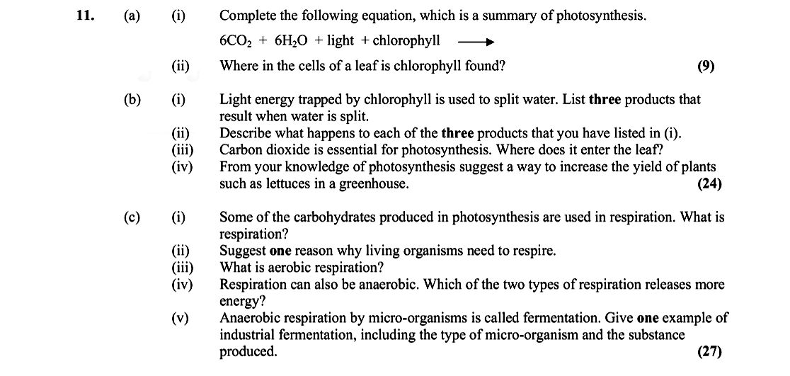 Complete-the-following-equation,-which-is-a-summary-of-photosynthesis-Leaving Cert Biology-Question 11-2005.png