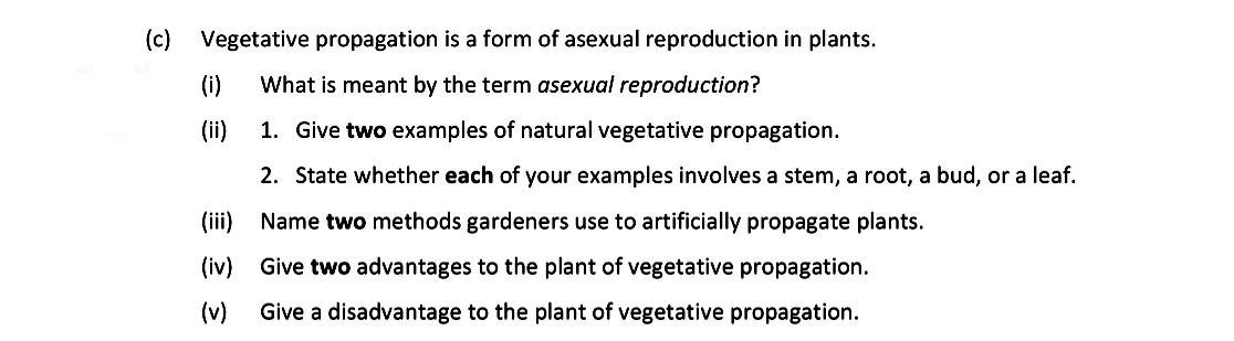 Vegetative-propagation-is-a-form-of-asexual-reproduction-in-plants-Leaving Cert Biology-Question c-2019.png