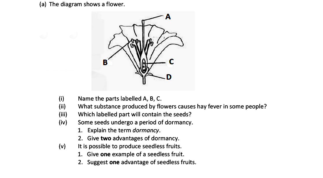 The-diagram-shows-a-flower-Leaving Cert Biology-Question 15-2018.png