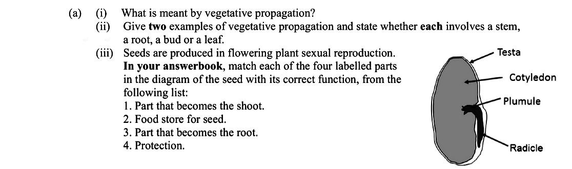 What-is-meant-by-vegetative-propagation?--Give-two-examples-of-vegetative-propagation-and-state-whether-each-involves-a-stem,-a-root,-a-bud-or-a-leaf-Leaving Cert Biology-Question a-2016.png
