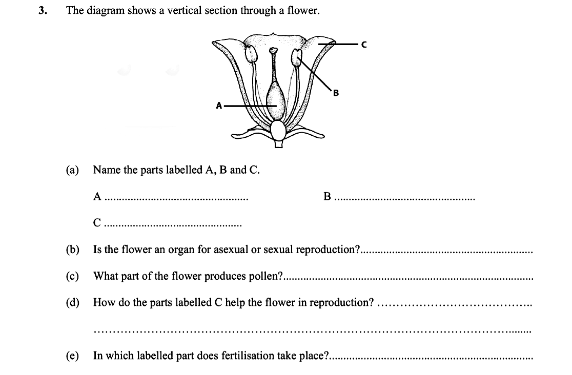 The-diagram-shows-a-vertical-section-through-a-flower-Leaving Cert Biology-Question 3-2015.png