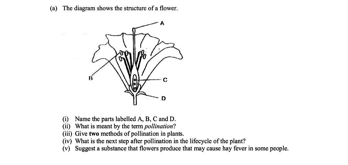The-diagram-shows-the-structure-of-a-flower-Leaving Cert Biology-Question 15(a)-2013.png