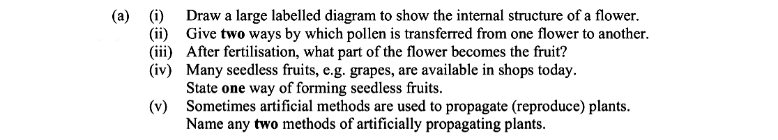 (i)-Draw-a-large-labelled-diagram-to-show-the-internal-structure-of-a-flower-Leaving Cert Biology-Question a-2011.png