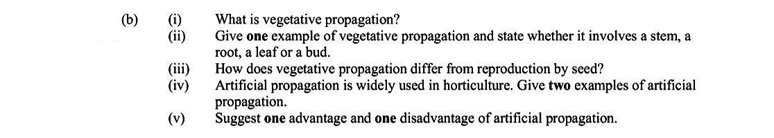 What-is-vegetative-propagation?--Give-one-example-of-vegetative-propagation-and-state-whether-it-involves-a-stem,-a-root,-a-leaf-or-a-bud-Leaving Cert Biology-Question b-2005.png