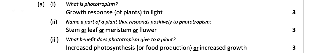 What-is-phototropism?--Growth-response-(of-plants)-to-light--Name-a-part-of-a-plant-that-responds-positively-to-phototropism:--Stem-or-leaf-or-meristem-or-flower--What-benefit-does-phototropism-give-to-a-plant?--Increased-photosynthesis-(or-food-production)-or-increased-growth-Leaving Cert Biology-Question 9-2020.png