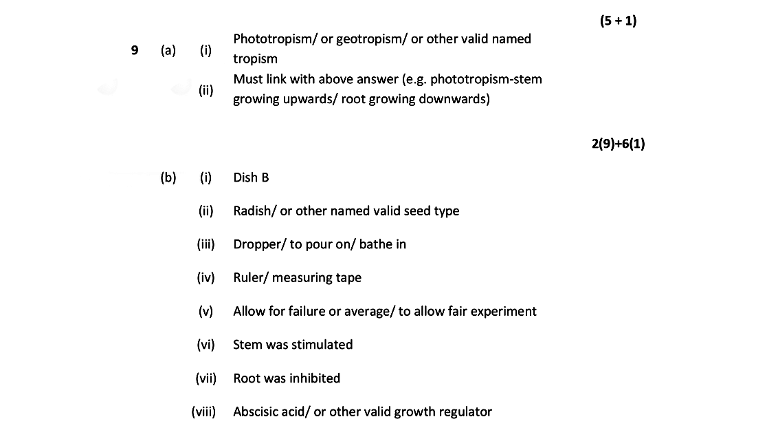 9-(a)-Phototropism-or-geotropism-or-other-valid-named-tropism-Must-link-with-above-answer-(e.g-Leaving Cert Biology-Question 9-2014.png