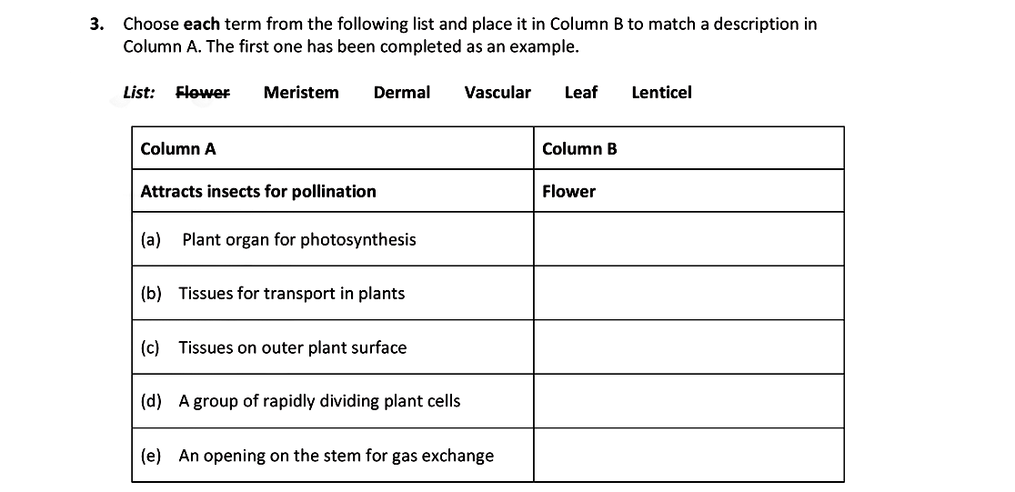 Choose-each-term-from-the-following-list-and-place-it-in-Column-B-to-match-a-description-in-Column-A-Leaving Cert Biology-Question 3-2019.png