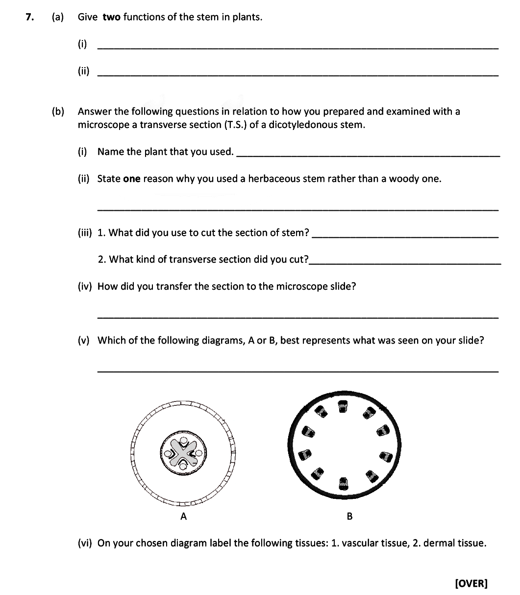 Give-two-functions-of-the-stem-in-plants-Leaving Cert Biology-Question 7-2017.png