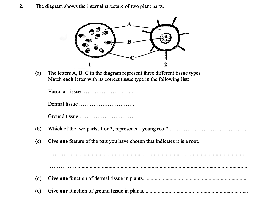 The-diagram-shows-the-internal-structure-of-two-plant-parts-Leaving Cert Biology-Question 2-2016.png
