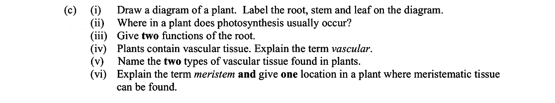 Draw-a-diagram-of-a-plant-Leaving Cert Biology-Question c-2015.png