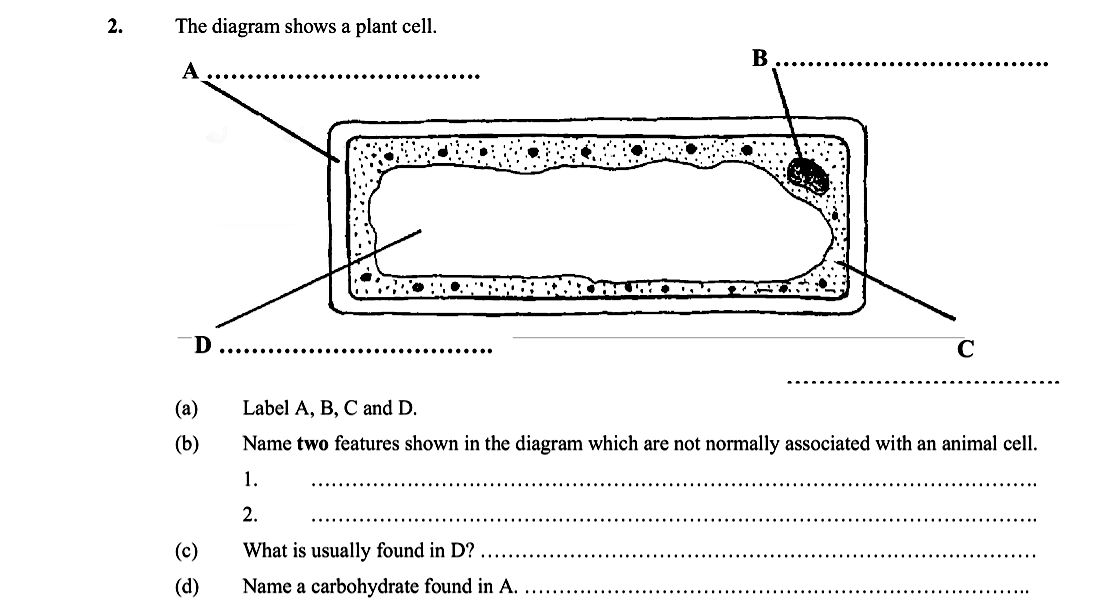 The-diagram-shows-a-plant-cell-Leaving Cert Biology-Question 2-2006.png