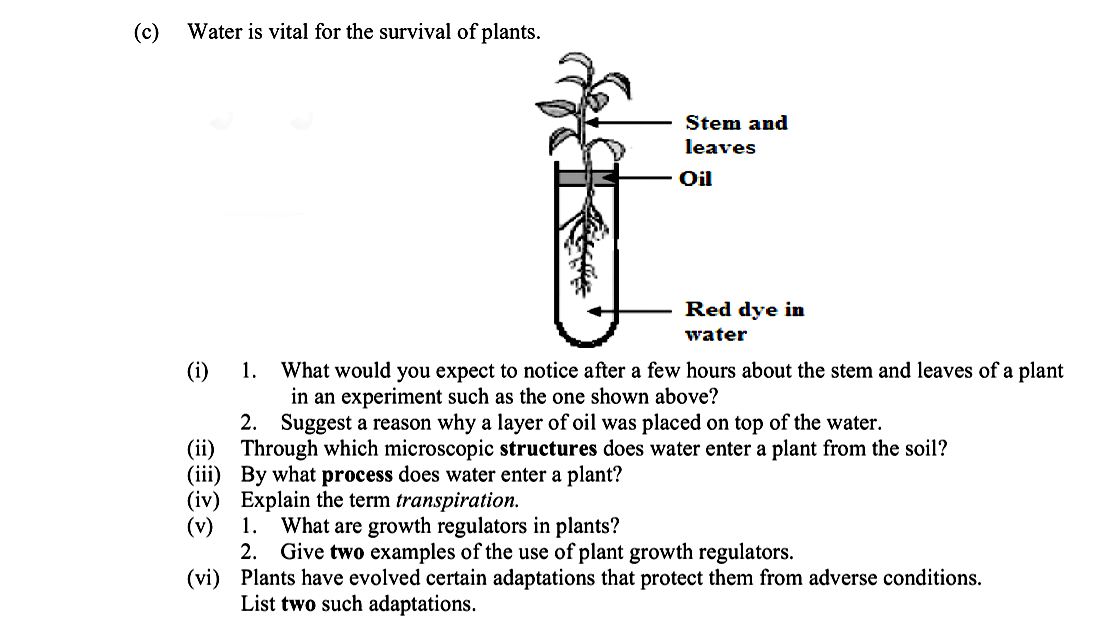 Water-is-vital-for-the-survival-of-plants-Leaving Cert Biology-Question c-2014.png