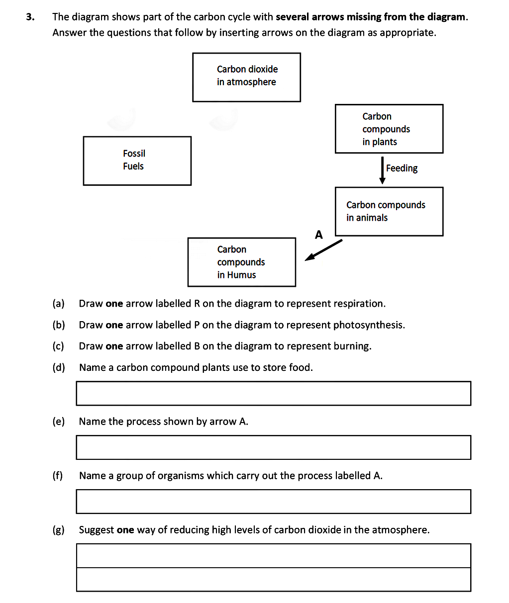 The-diagram-shows-part-of-the-carbon-cycle-with-several-arrows-missing-from-the-diagram-Leaving Cert Biology-Question 3-2020.png