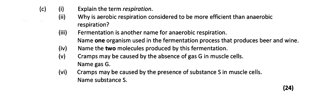 Explain-the-term-respiration-Leaving Cert Biology-Question c-2018.png