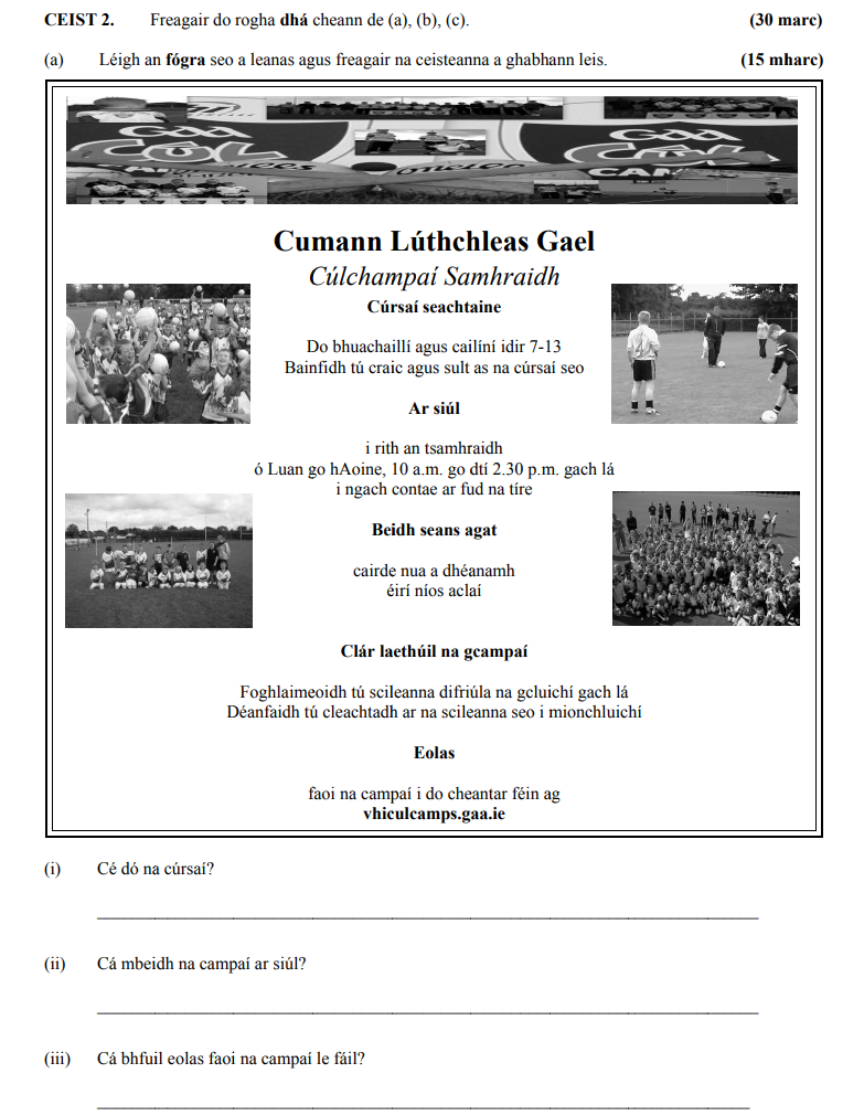 Cé-dó-na-cúrsaí?-Do-bhuachaillí-agus-cailíní-idir-7-13-Junior Cycle Irish-Question 2-2011.png