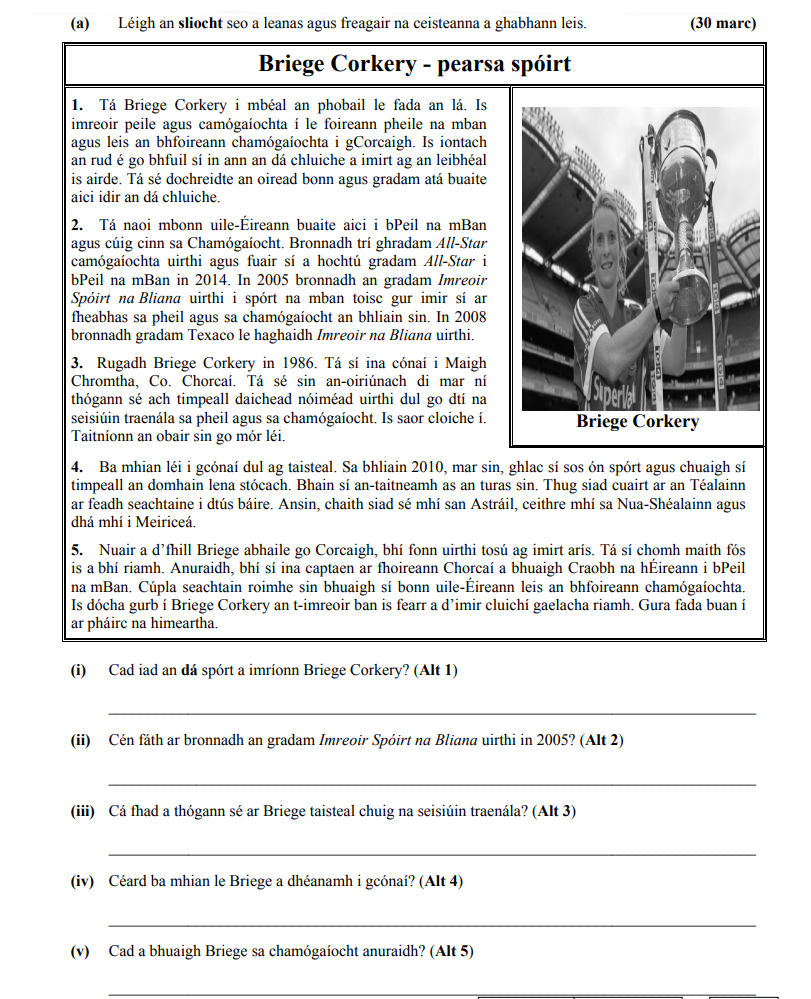 Léigh-an-sliocht-seo-a-leanas-agus-freagair-na-ceisteanna-a-ghabhann-leis-Junior Cycle Irish-Question (a)-2015.png