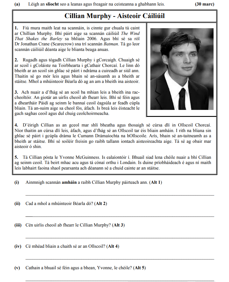 Fíú-mura-maith-leat-na-scannáin,-is-é-cineál-thú-an-ceart-ar-Cillian-Murphy-Junior Cycle Irish-Question 30-2014.png