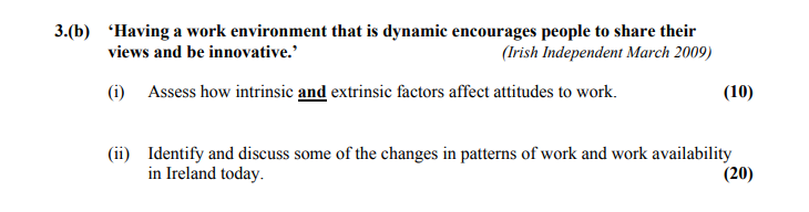 'Having-a-work-environment-that-is-dynamic-encourages-people-to-share-their-views-and-be-innovative.'-(Irish-Independent-March-2009)--(i)-Assess-how-intrinsic-and-extrinsic-factors-affect-attitudes-to-work-Leaving Cert Home Economics-Question 3(b)-2010.png