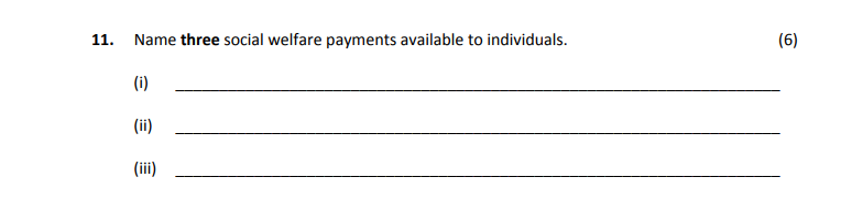 Name-three-social-welfare-payments-available-to-individuals-Leaving Cert Home Economics-Question 11-2017.png