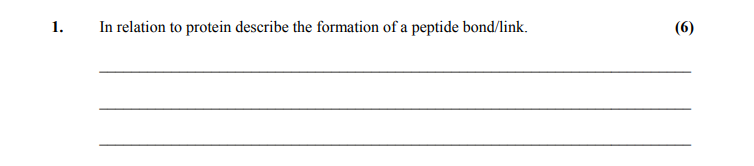 In-relation-to-protein-describe-the-formation-of-a-peptide-bond/link.-Leaving Cert Home Economics-Question 1-2008.png