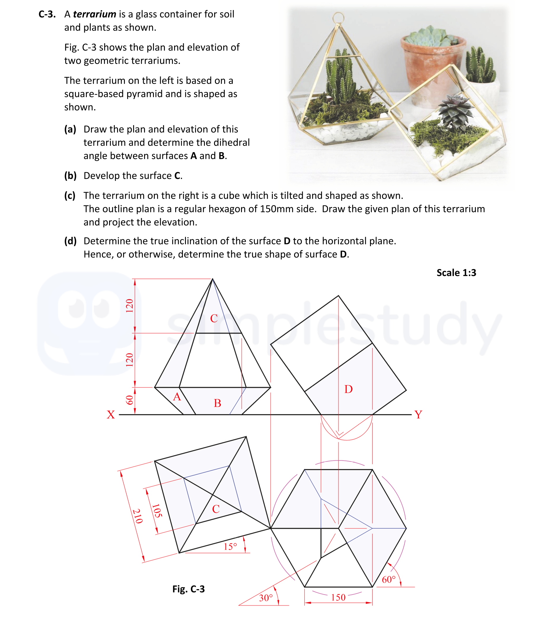 A-terrarium-is-a-glass-container-for-soil-and-plants-as-shown-Leaving Cert DCG-Question C-3-2018.png