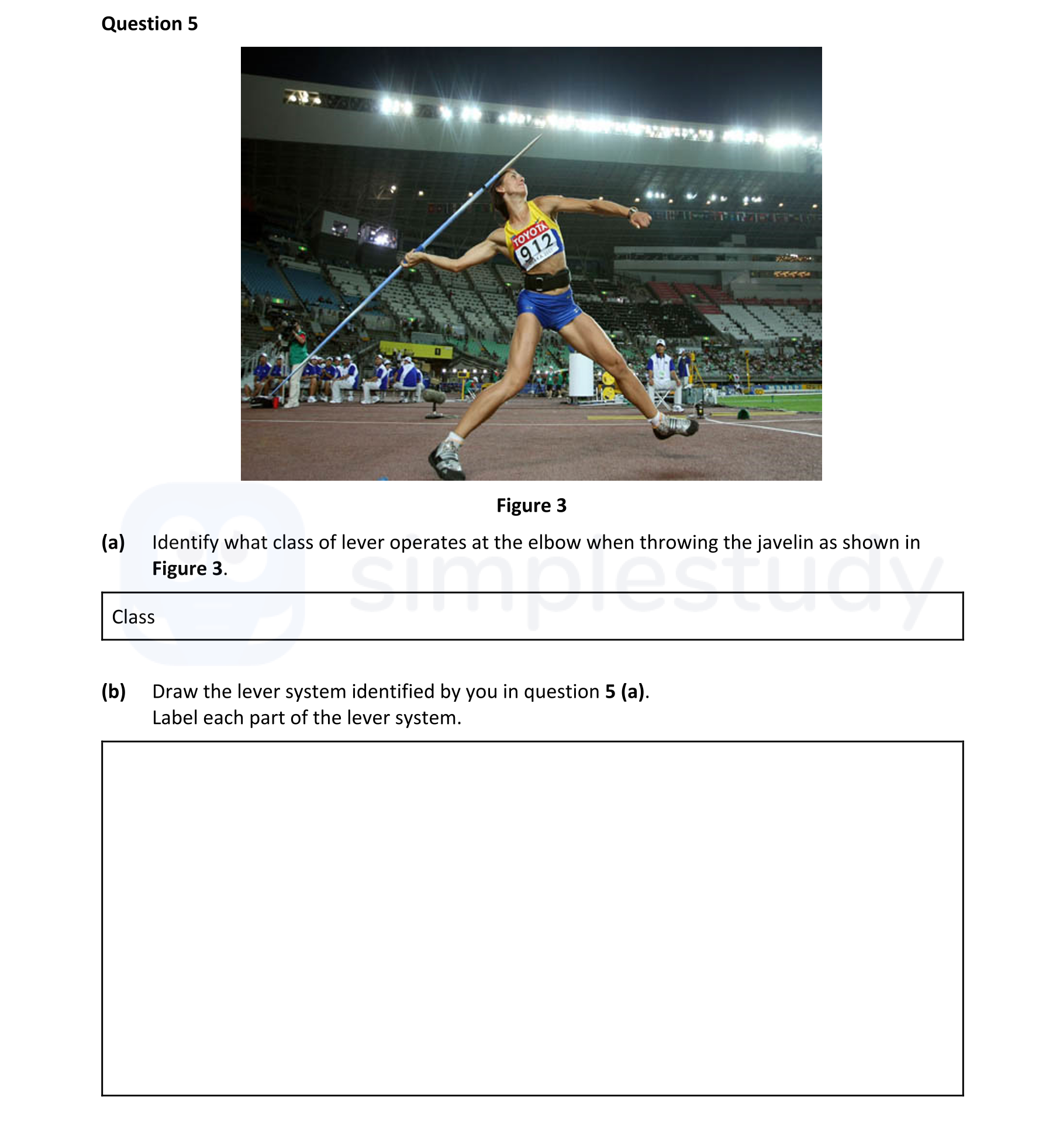 Identify-what-class-of-lever-operates-at-the-elbow-when-throwing-the-javelin-as-shown-in-Figure-3-Leaving Cert Physical Education-Question 5-2020.png