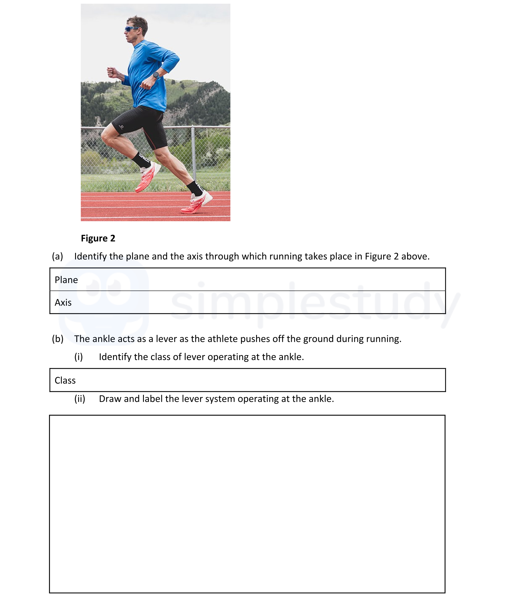 Figure-2--(a)-Identify-the-plane-and-the-axis-through-which-running-takes-place-in-Figure-2-above-Leaving Cert Physical Education-Question Question 2-2020.png