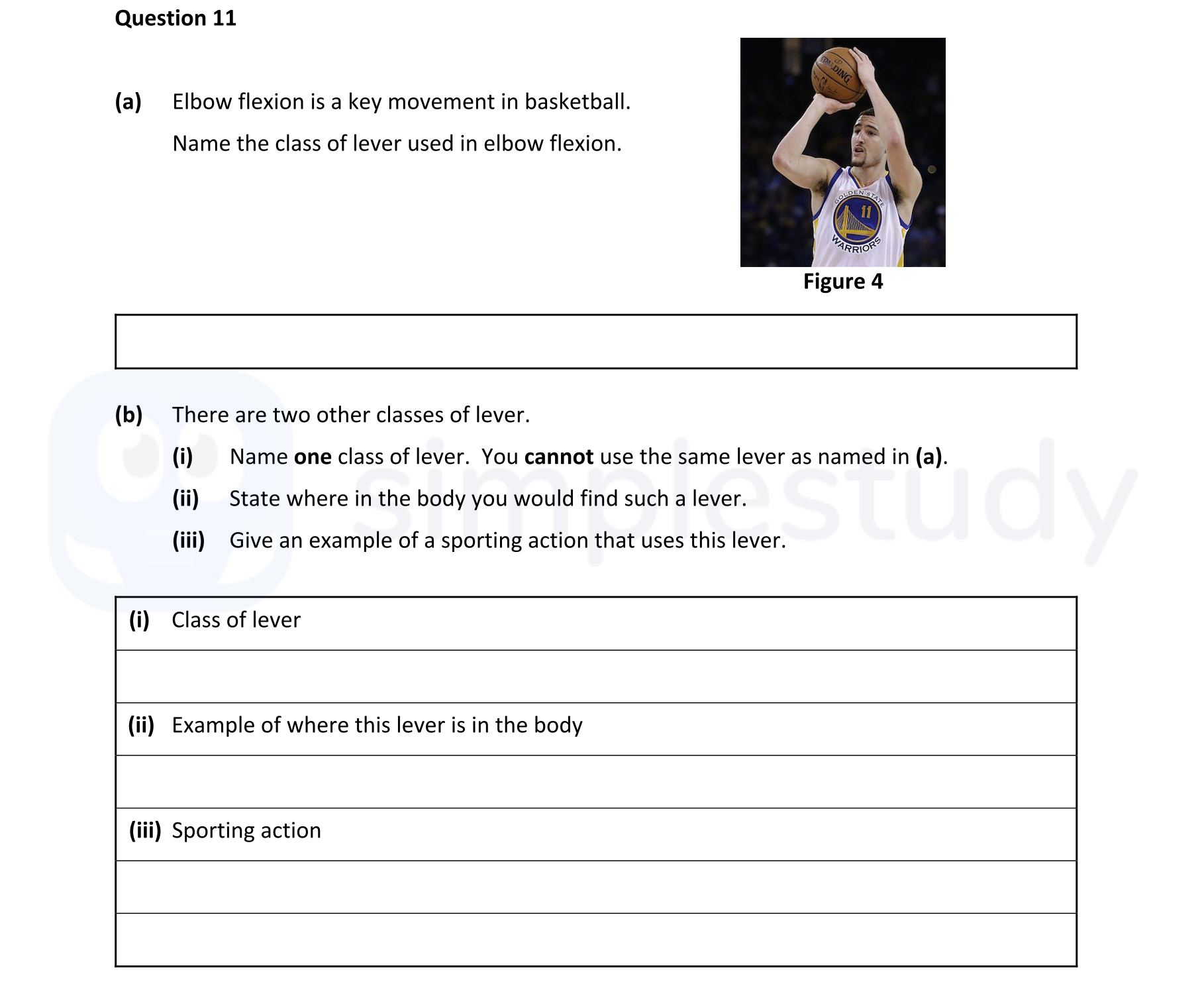 Elbow-flexion-is-a-key-movement-in-basketball-Leaving Cert Physical Education-Question 11-2022.png