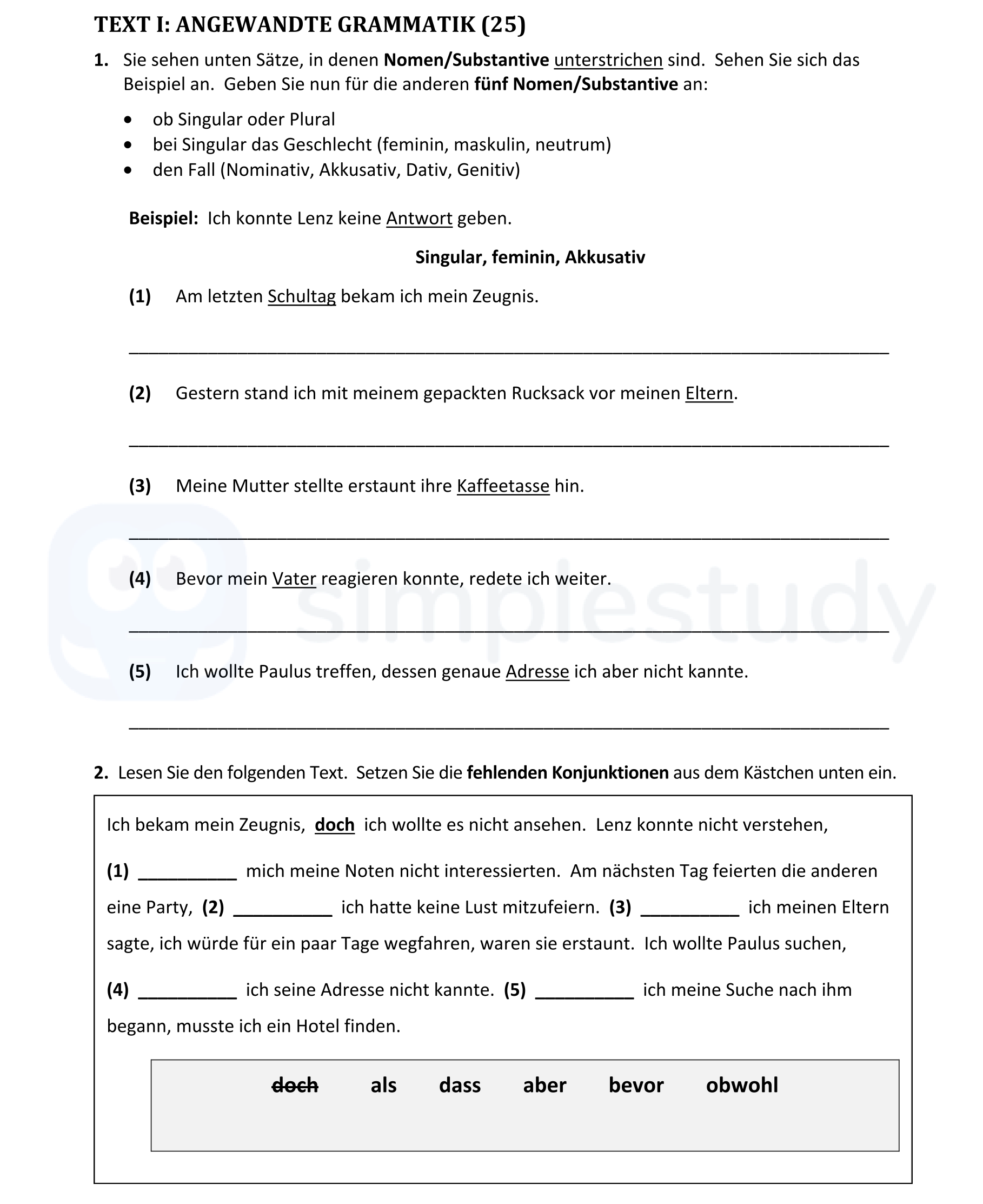 Sie-sehen-unten-Sätze,-in-denen-Nomen/Substantive-unterstrichen-sind-Leaving Cert German-Question 1-2020.png