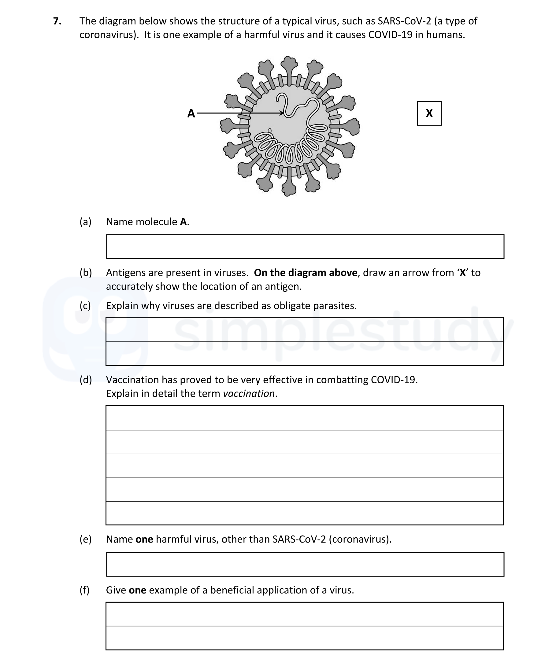 The-diagram-below-shows-the-structure-of-a-typical-virus,-such-as-SARS-CoV-2-(a-type-of-coronavirus)-Leaving Cert Biology-Question 7-2022.png